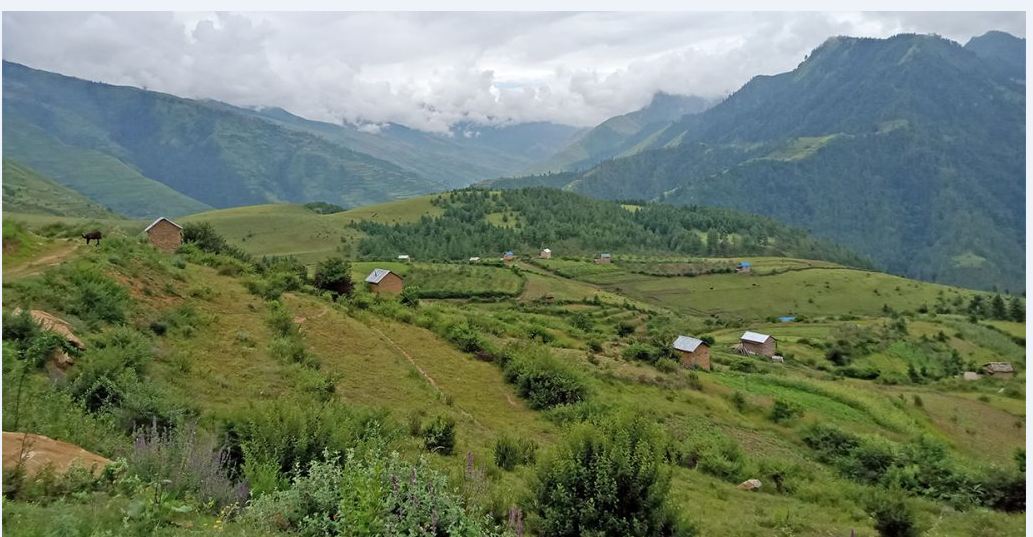 खेतीयोग्य जमिन : पहाडमा बाँझो, तराईमा मासिँदै